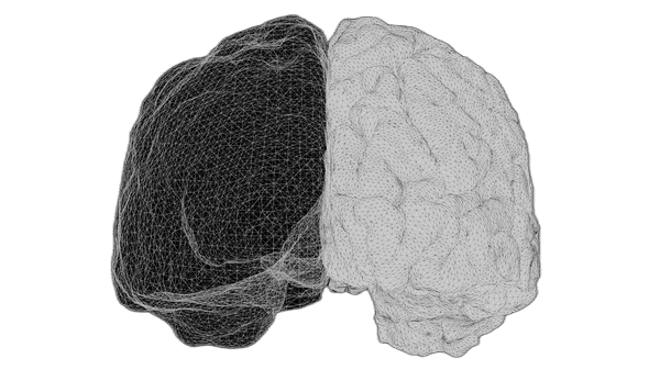 Brain neural projection